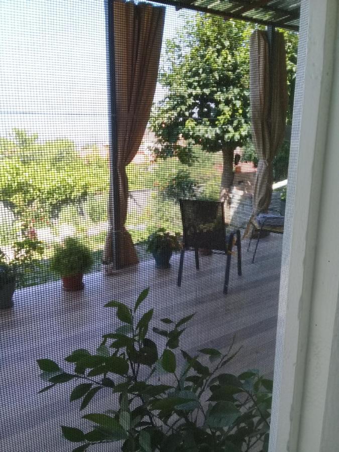 Apartment Giorgi In Sighnaghi Εξωτερικό φωτογραφία