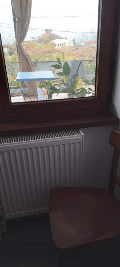 Apartment Giorgi In Sighnaghi Εξωτερικό φωτογραφία
