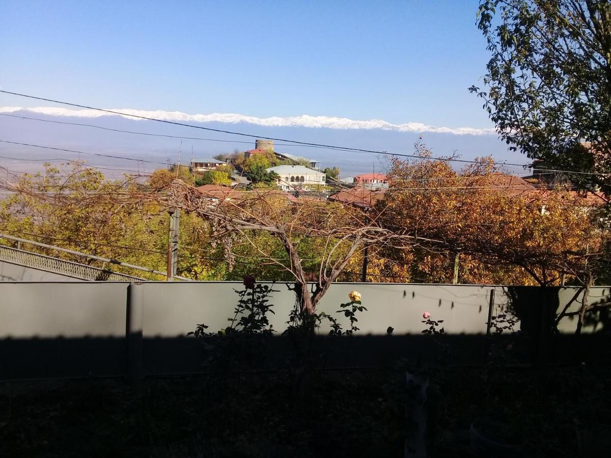 Apartment Giorgi In Sighnaghi Εξωτερικό φωτογραφία
